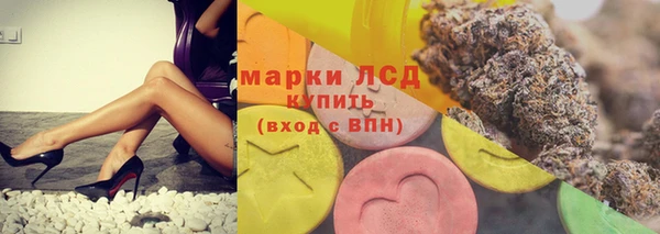 гашик Арсеньев