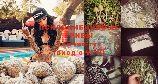 гашик Арсеньев